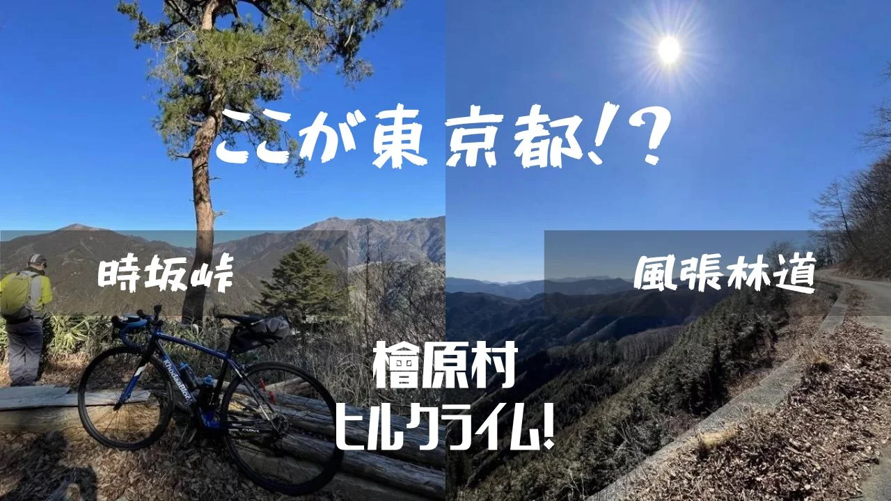 rie様　二点お纏め LUXXE (2025年新製品・再入荷予約)がまかつ/ラグゼ 桜幻 鯛