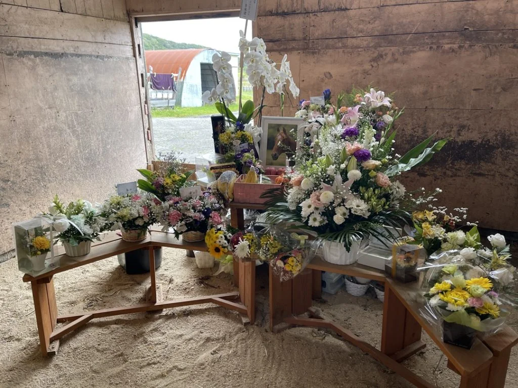 タイキシャトルの馬房