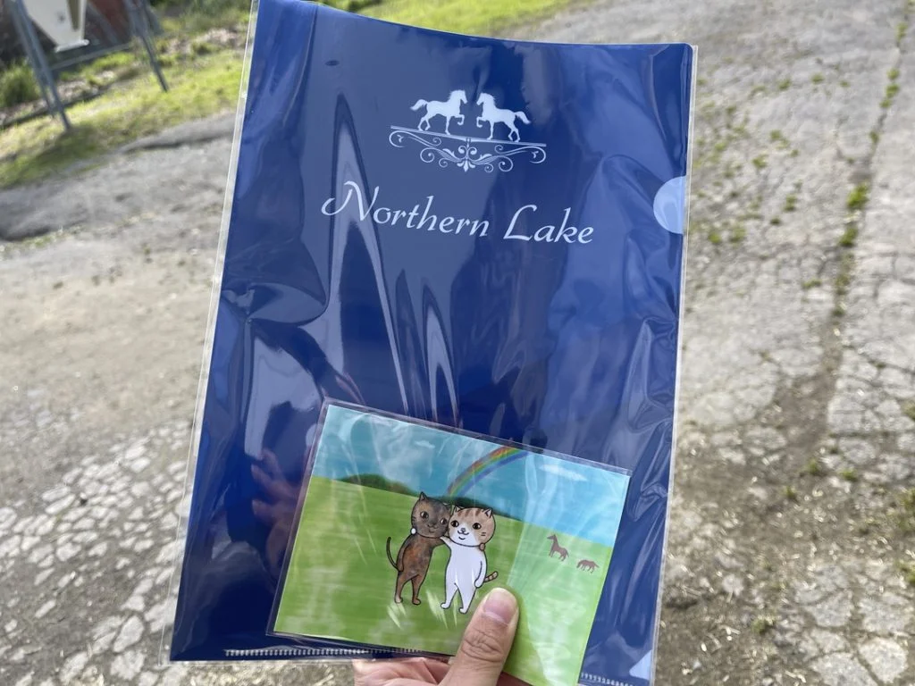 ノーザンレイクグッズのクリアケース