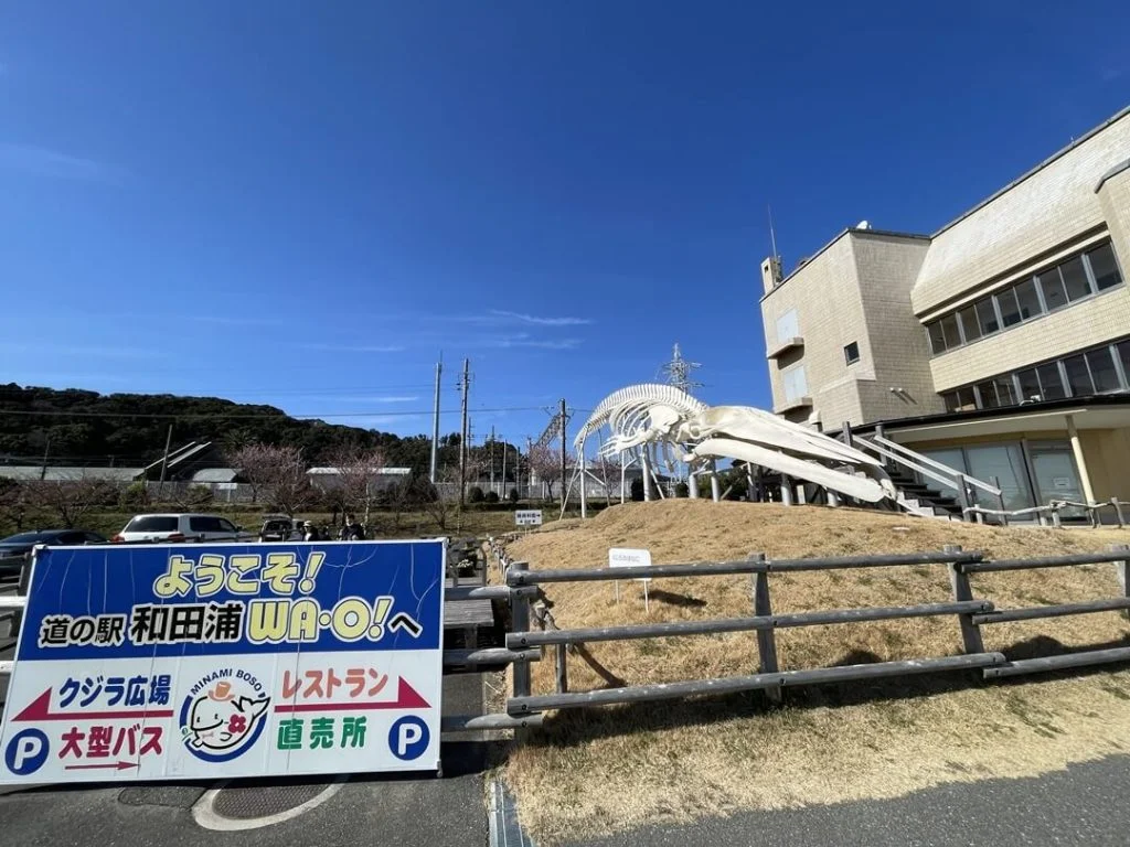 道の駅 和田浦WA・O!