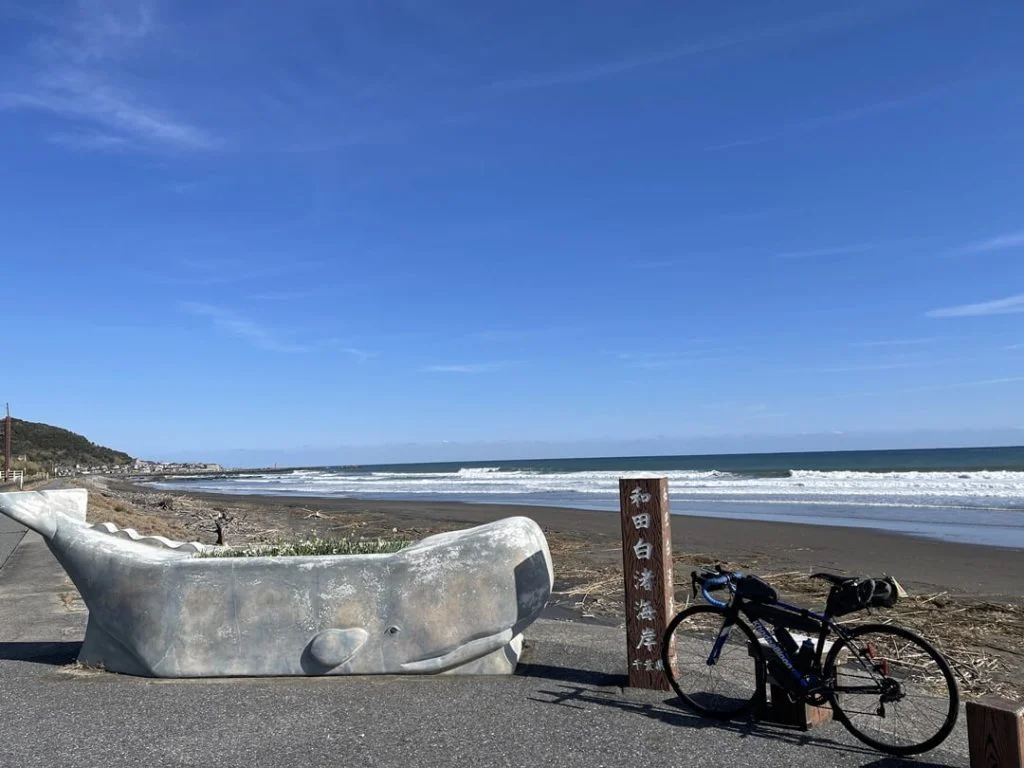 和田白浜海岸