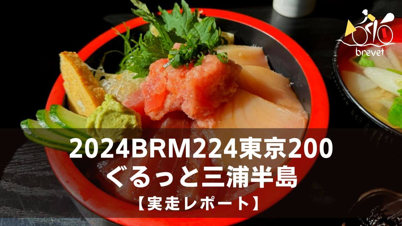 Thumbnail Report 2024brm224tokyo200