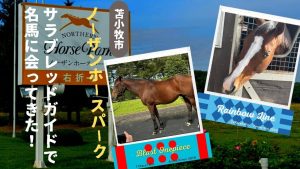 ノーザンホースパーク　モバガチャ　コンプリートセット　サラブレッド　馬　ウマ thumbnail-umatabi2023-