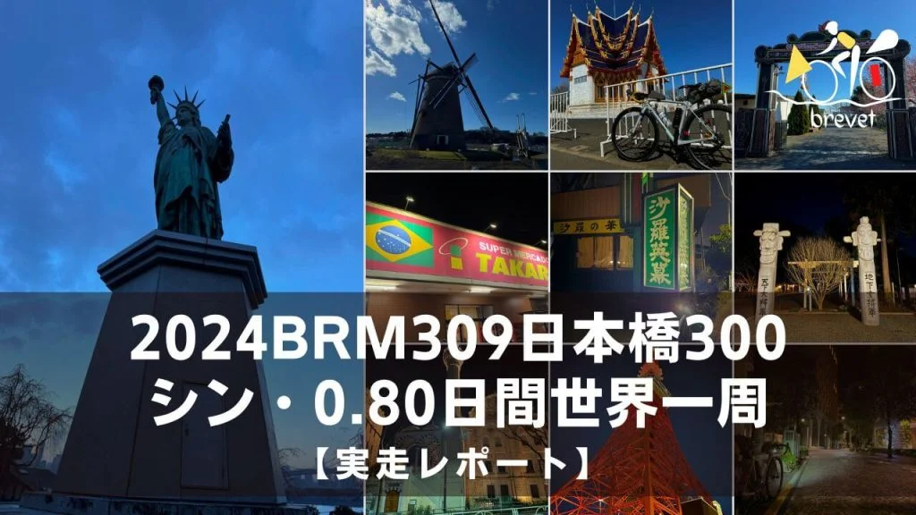 Thumbnail Report 2024brm309nihonbashi300
