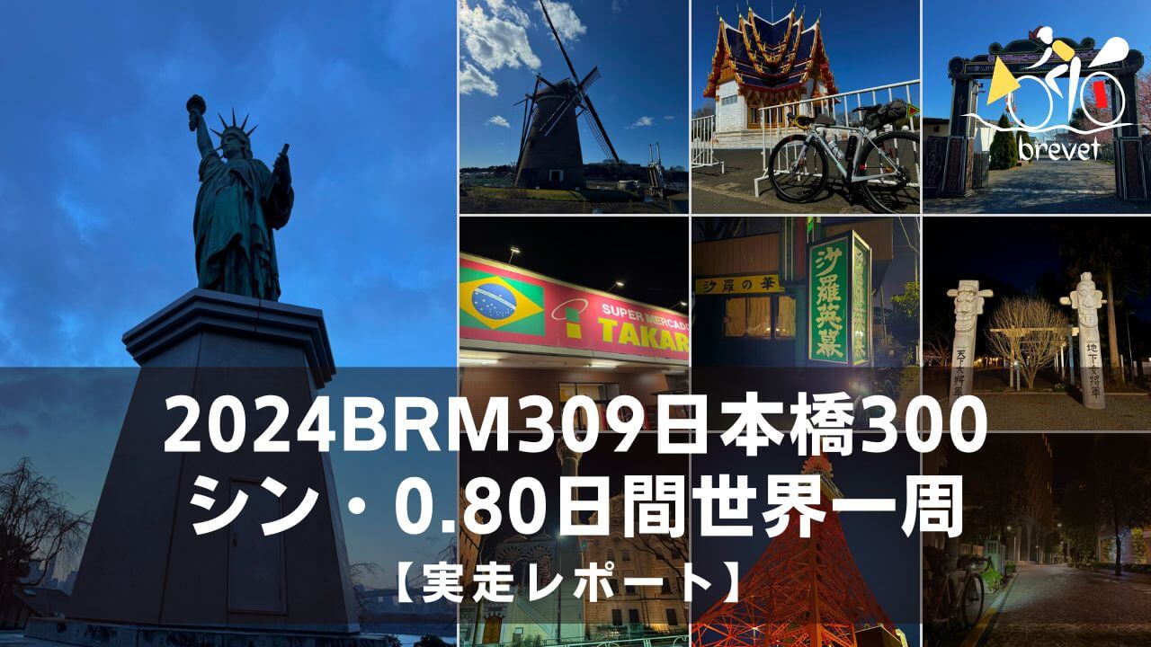 Thumbnail Report 2024brm309nihonbashi300