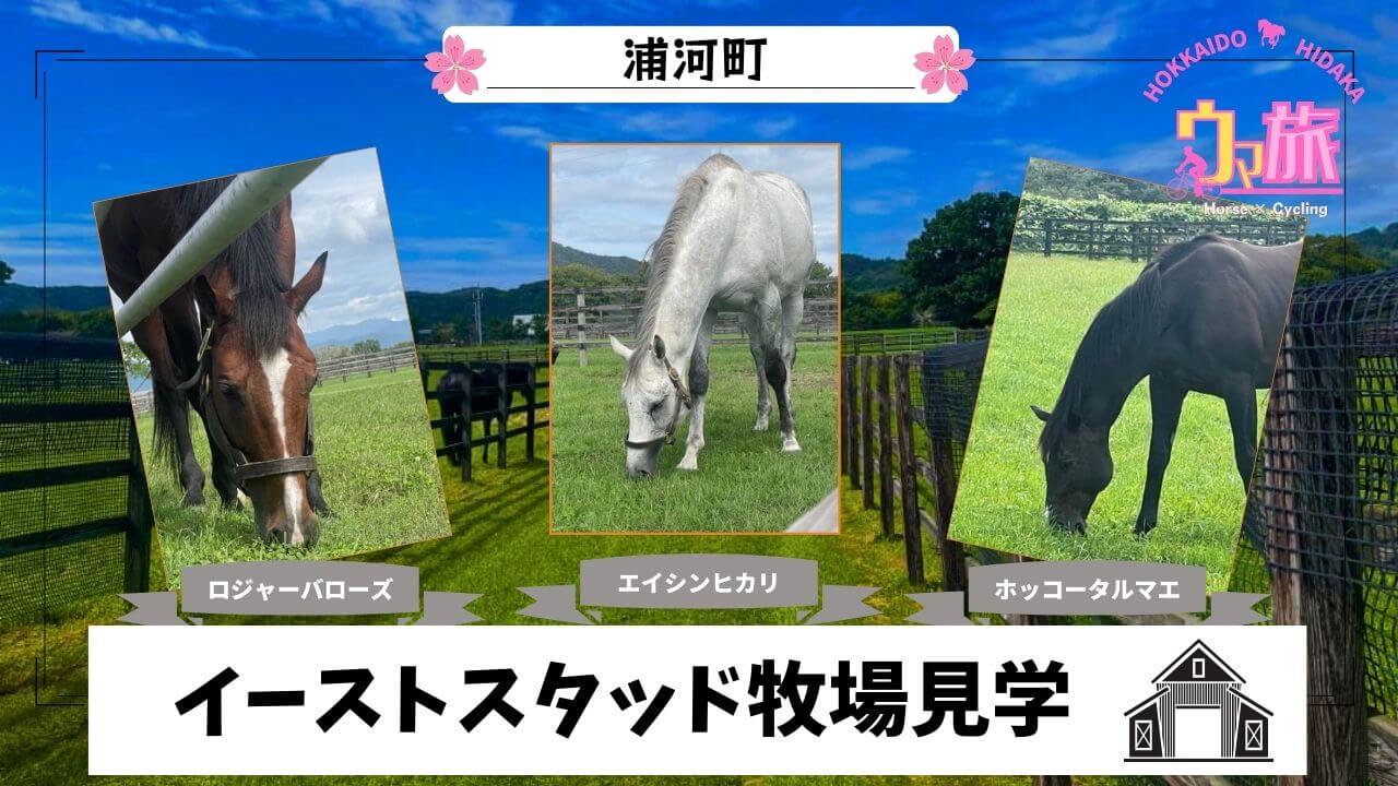 Thumbnail Umatabi2023 East Stud